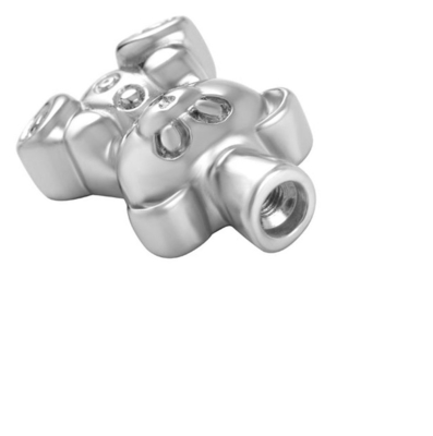 Stainless Steel Cremation Jewelry Keepsake Pendant for Pet Memorial Urn Necklace