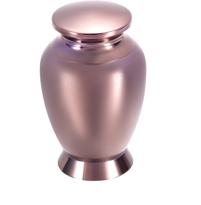 Women's Coffee Gold Cremation Urn with Bird Engraved Small Adult/Pet Memorial Casket Keepsake Stainless Steel Jewellery