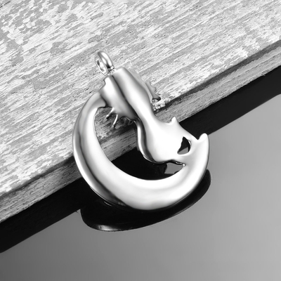 Stainless Steel Dog/Cat Cremation Urn Necklace You Left Paw Print On My Heart Pendant