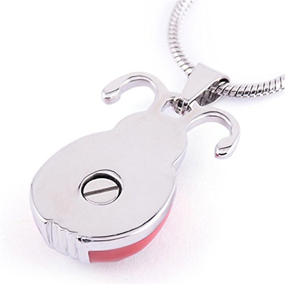 Stainless Steel Beauty Ladybird Memorial Necklace Entomologist Keepsake Cremation Urn Pendant
